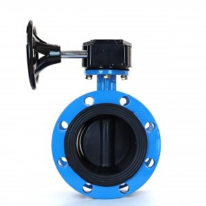 法蘭式蝸輪蝸桿蝶閥DN125，1.6Mpa橡膠密封