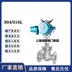 Z941W-16P，DN250，CF8/F304不銹鋼電動閘閥