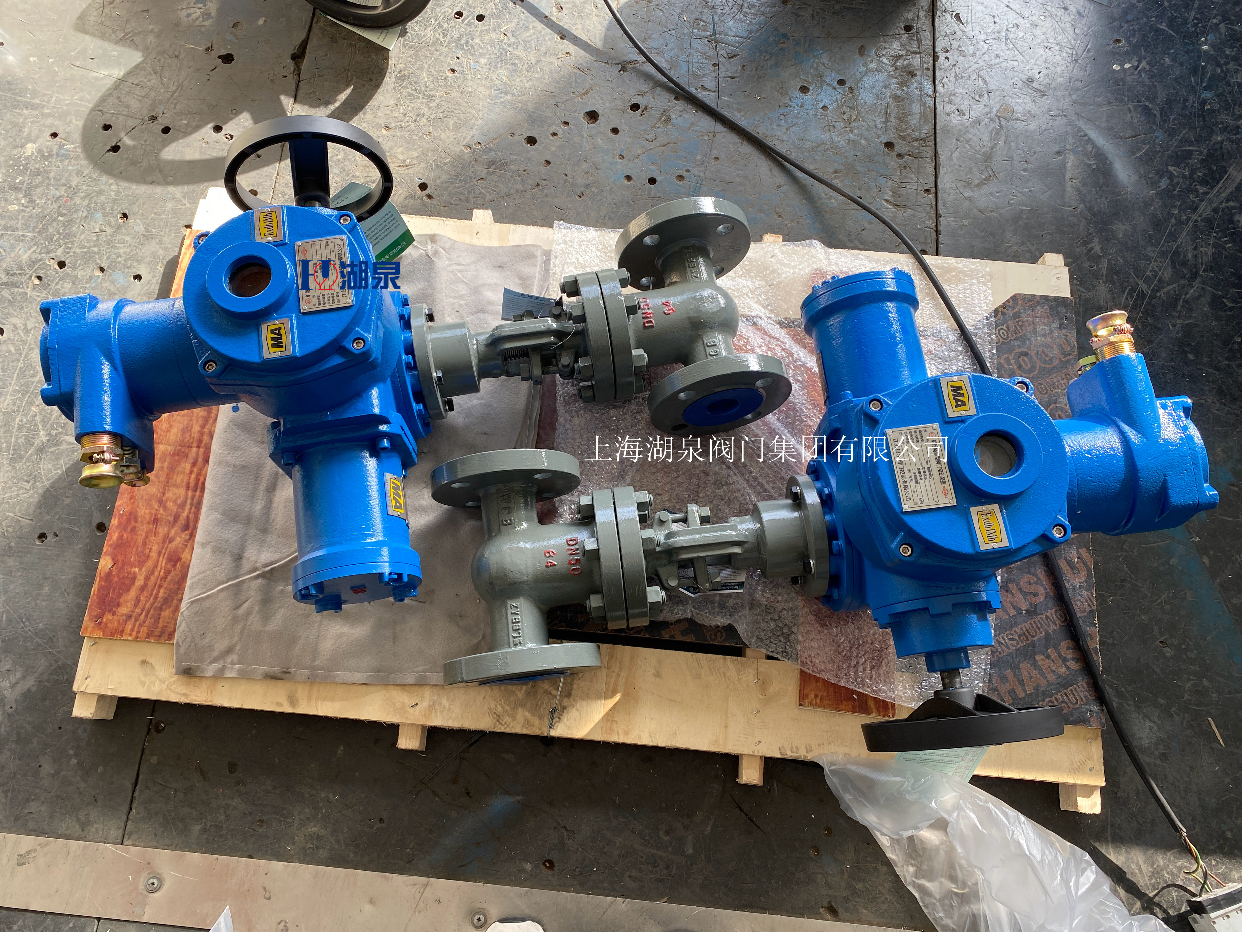 閥門電動(dòng)裝置